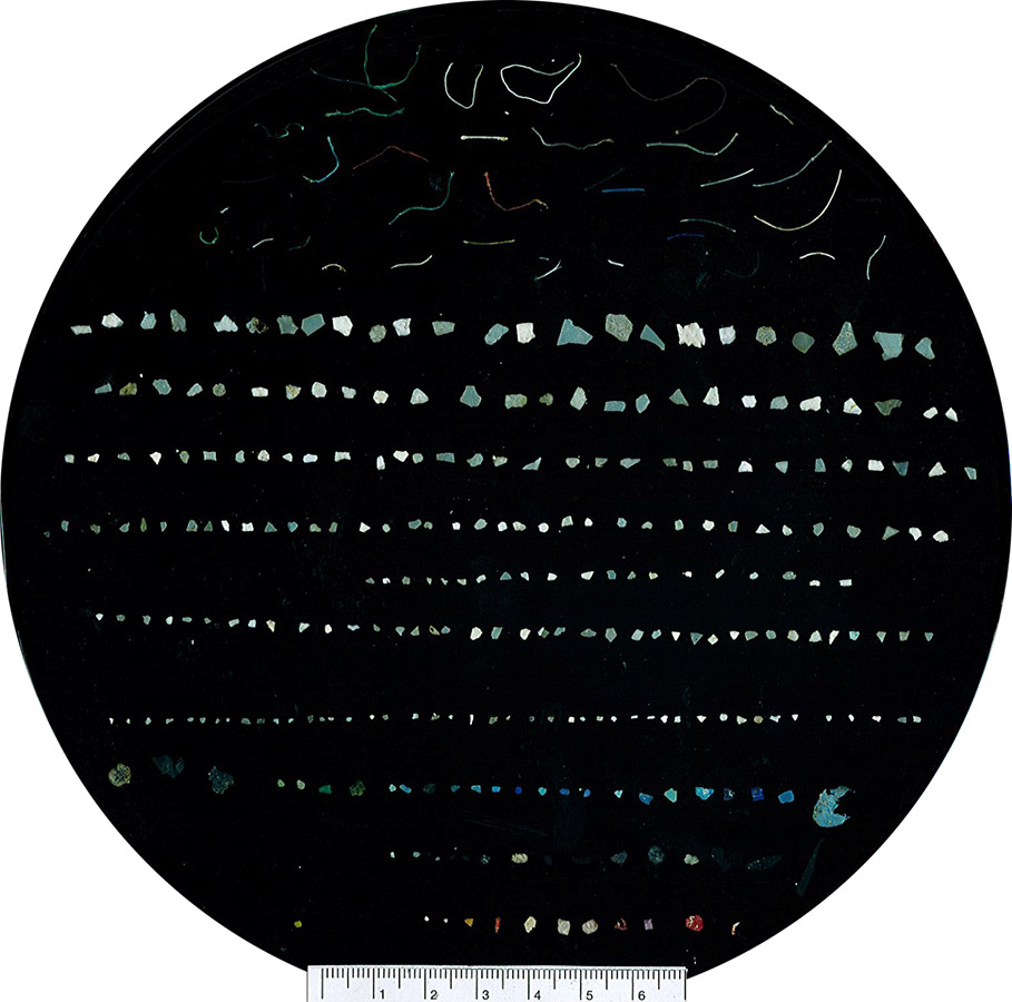 Fig2 Pollution plastique morceaux - Plastic is not fantastic, lover