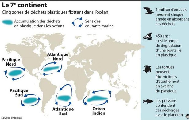 https www.cartograf.fr img 7eme continent carte 7eme continent animaux - Le plastique, c'est pas fantastique