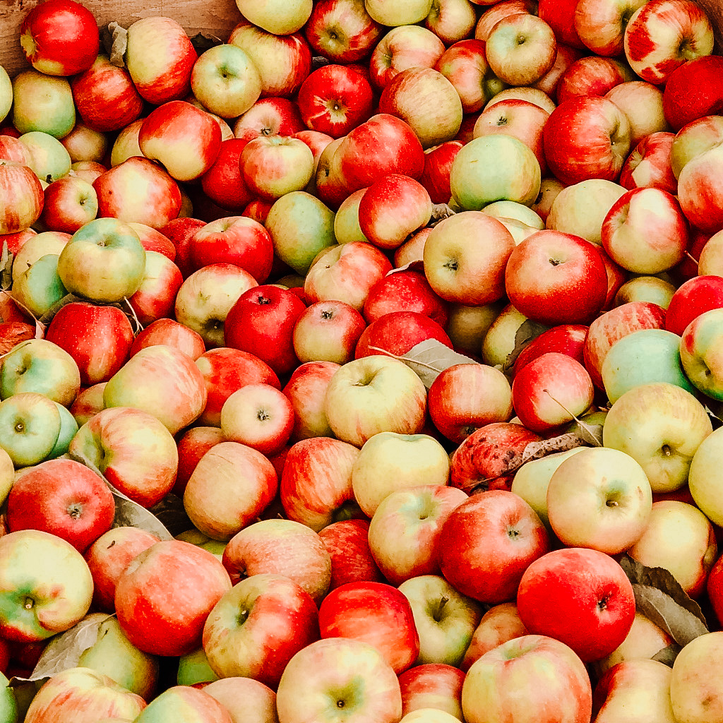 31169EA3 94A4 476C B09F 95337BBDC66A 1 105 c - Pumpkin, apple and cinnamon: Birmingham's farmer Market.