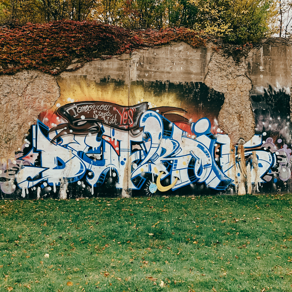 0BCD7A47 3D0A 4B46 A2C8 A5CDDA0E840C 1 105 c - The Dequindre cut, a must in Detroit Street Art - Part I