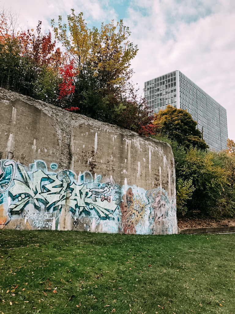 22D161AC 1A23 480F BD42 9ECDE3DFEBA8 1 105 c - Le Dequindre cut, incontournable du Street Art de Detroit - Partie I