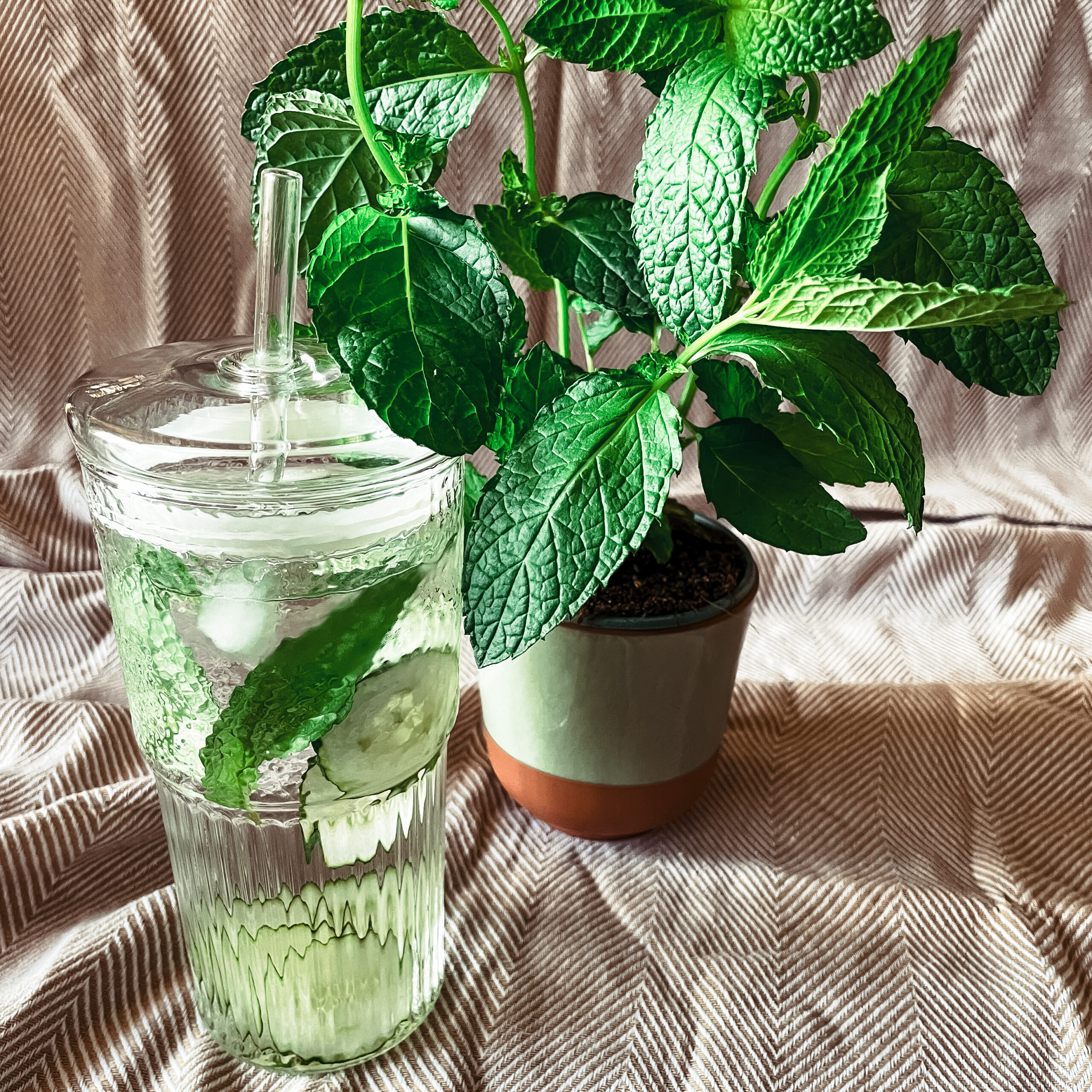 IMG 6604 scaled - Summer well-being mode with this Infused water (express)