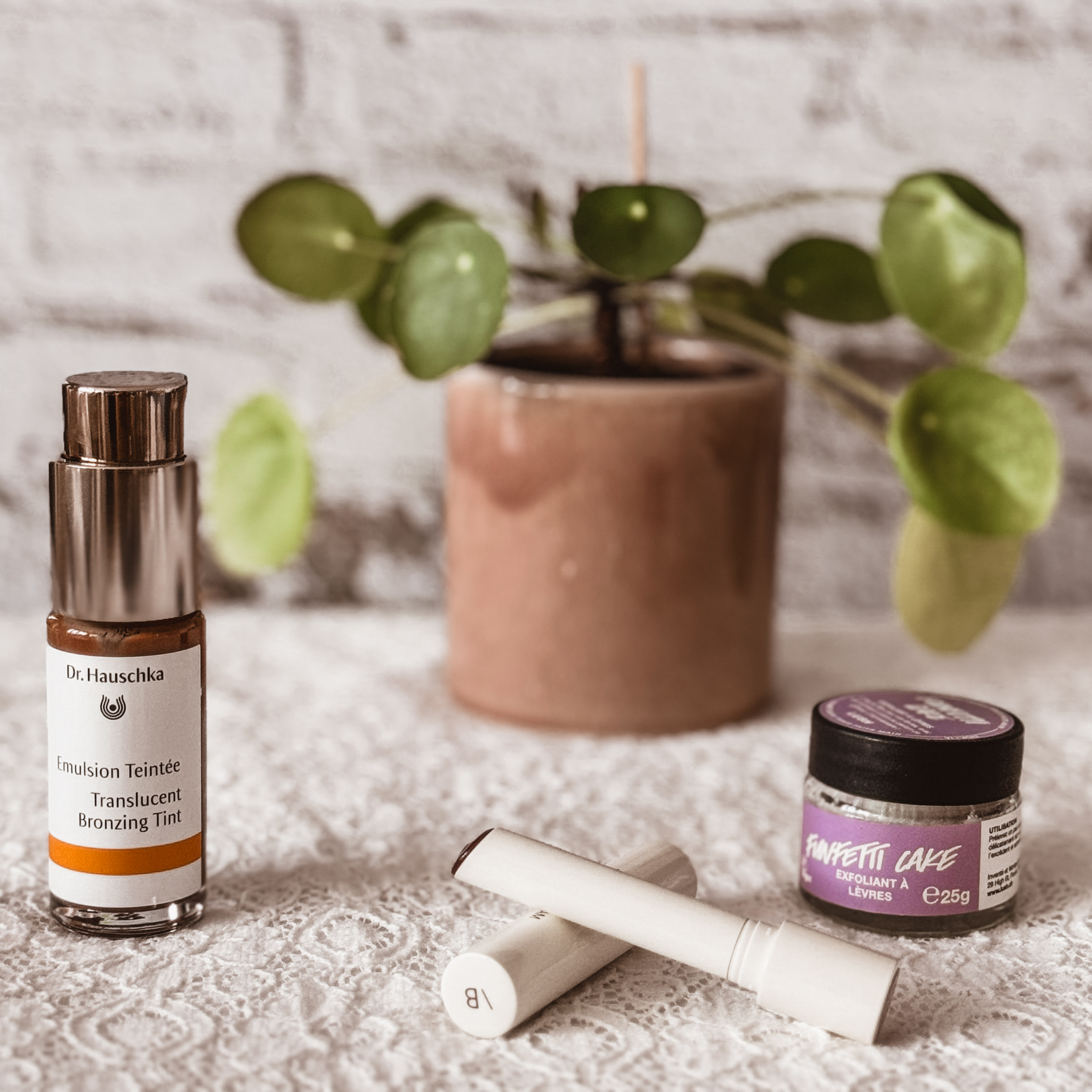 IMG 0388 2 - A great skin to start the cold season