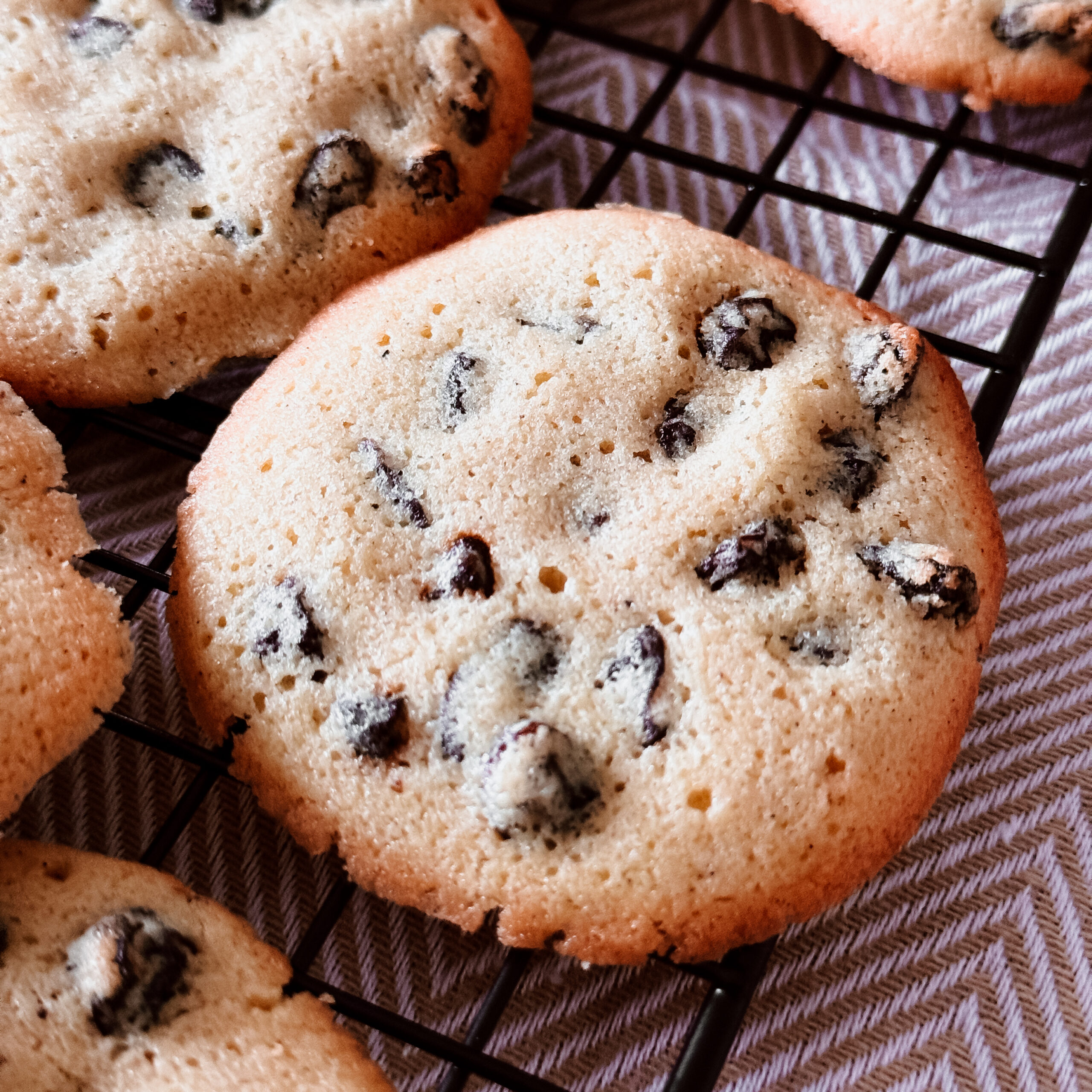 IMG 2697 scaled - Easy to make, for guaranteed success! IMG 2697 scaled - Easy to make, for guaranteed success!