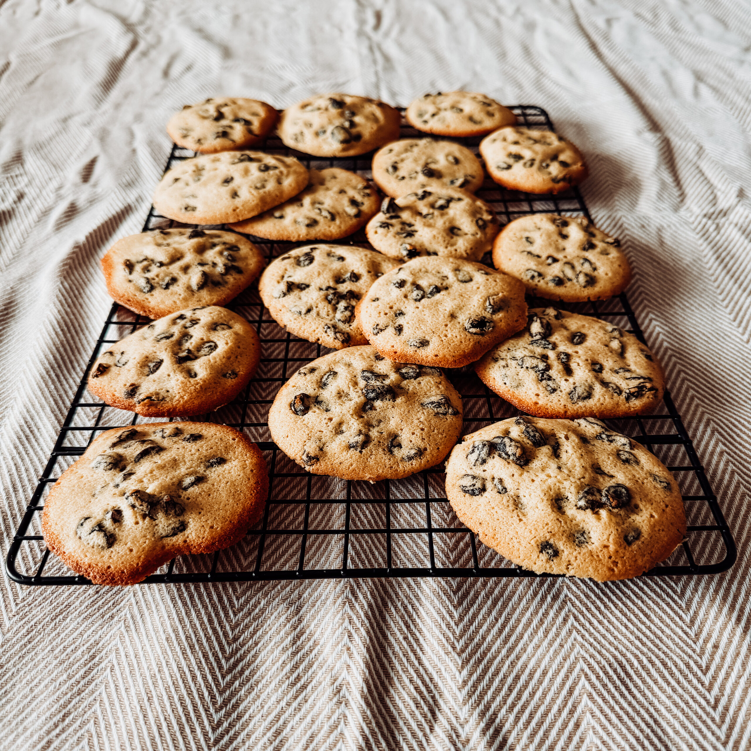 IMG 2699 scaled - Easy to make, for guaranteed success! IMG 2699 scaled - Easy to make, for guaranteed success!